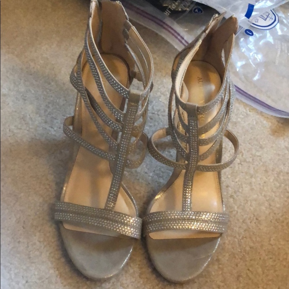 Audrey Brooke Silver Heels